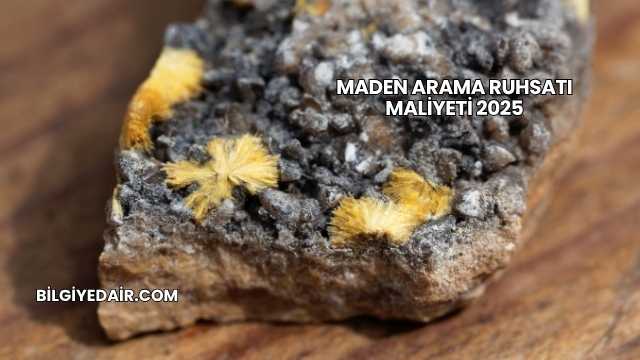 Maden Arama Ruhsatı Maliyeti 2025