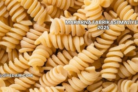 Makarna Fabrikası Maliyeti 2025