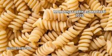 Makarna Fabrikası Maliyeti 2025