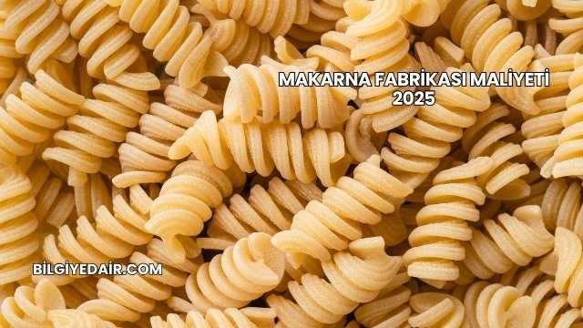 Makarna Fabrikası Maliyeti 2025