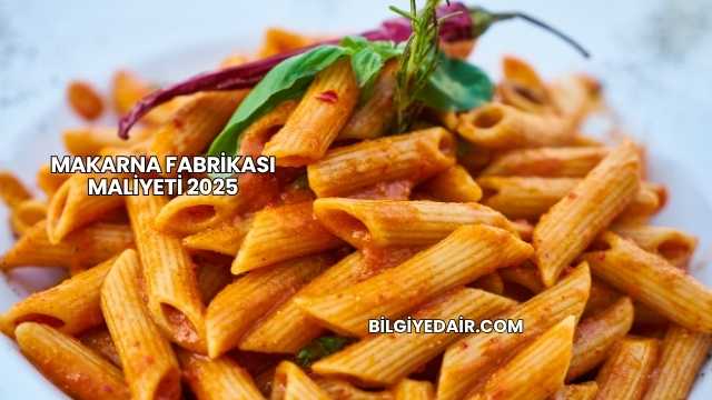 Makarna Fabrikası Maliyeti 2025