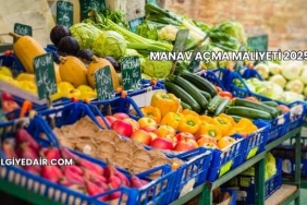 Manav Açma Maliyeti 2025