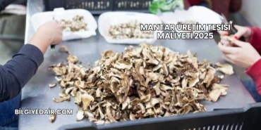 Mantar Üretim Tesisi Maliyeti 2025