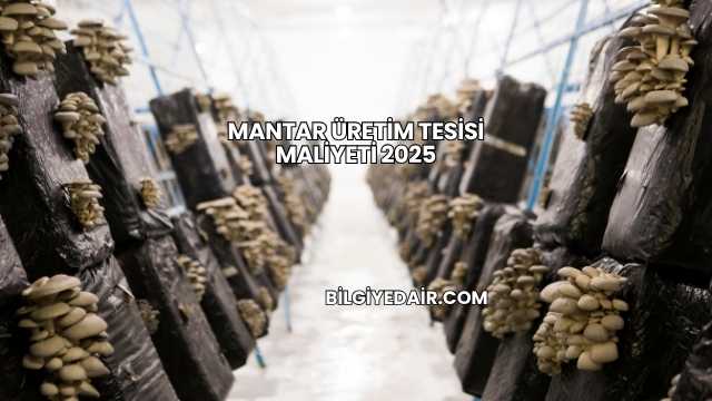Mantar Üretim Tesisi Maliyeti 2025