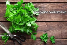 Maydanoz Zayıflatır mı?