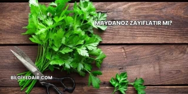 Maydanoz Zayıflatır mı?