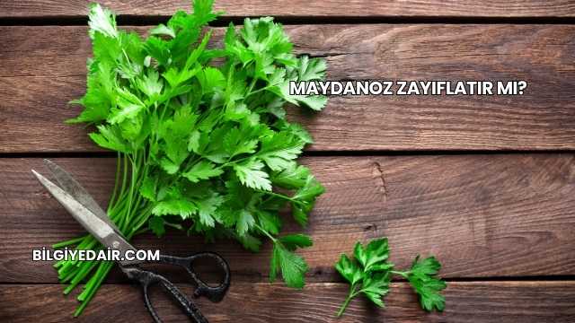 Maydanoz Zayıflatır mı?