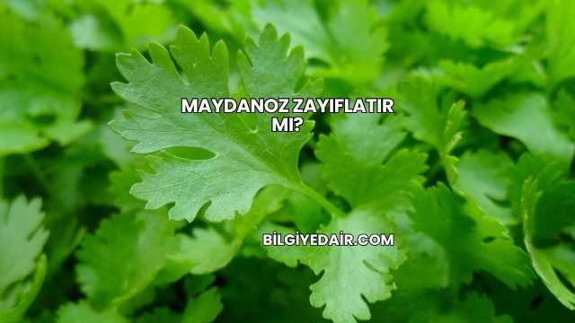 Maydanoz Zayıflatır mı?