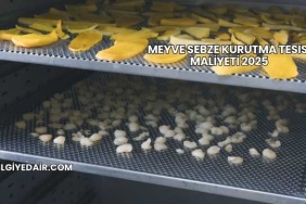 Meyve Sebze Kurutma Tesisi Maliyeti 2025