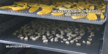 Meyve Sebze Kurutma Tesisi Maliyeti 2025