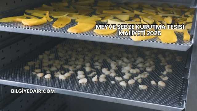 Meyve Sebze Kurutma Tesisi Maliyeti 2025