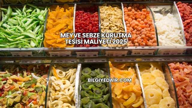 Meyve Sebze Kurutma Tesisi Maliyeti 2025