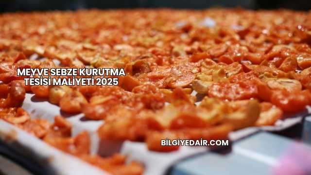 Meyve Sebze Kurutma Tesisi Maliyeti 2025