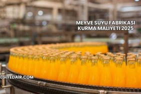 Meyve Suyu Fabrikası Kurma Maliyeti 2025