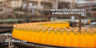 Meyve Suyu Fabrikası Kurma Maliyeti 2025