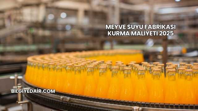 Meyve Suyu Fabrikası Kurma Maliyeti 2025
