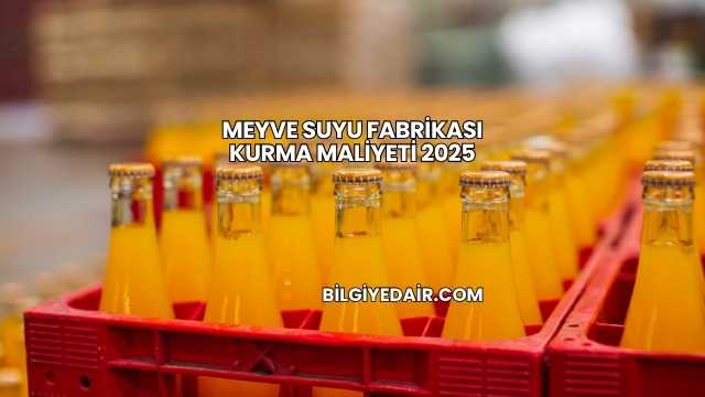 Meyve Suyu Fabrikası Kurma Maliyeti 2025