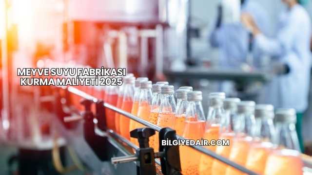 Meyve Suyu Fabrikası Kurma Maliyeti 2025