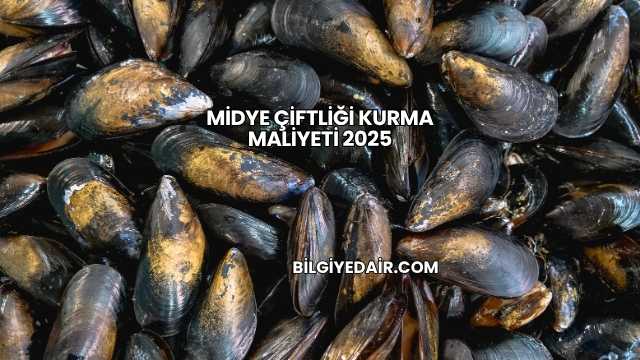 Midye Çiftliği Kurma Maliyeti 2025