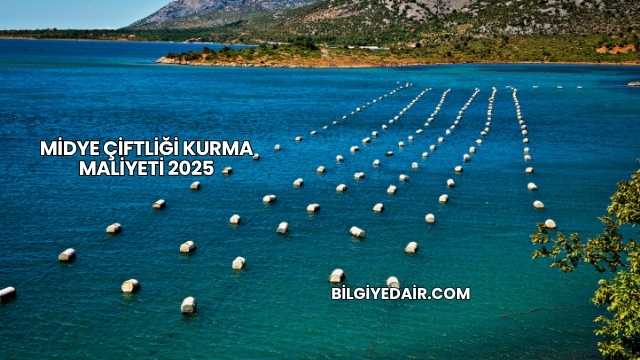 Midye Çiftliği Kurma Maliyeti 2025