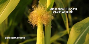 Mısır Püskülü Çayı Zayıflatır mı?
