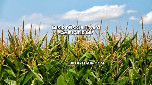 Mısır Püskülü Çayı Zayıflatır mı?