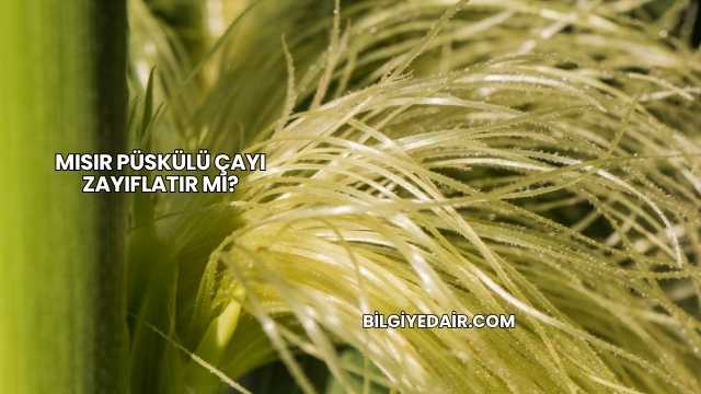 Mısır Püskülü Çayı Zayıflatır mı?