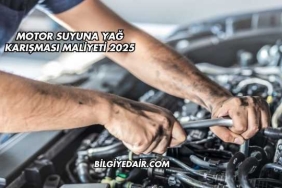 Motor Suyuna Yağ Karışması Maliyeti 2025
