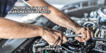 Motor Suyuna Yağ Karışması Maliyeti 2025