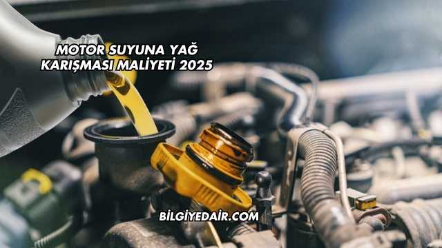 Motor Suyuna Yağ Karışması Maliyeti 2025