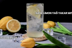 Nane Limon Yağ Yakar mı?