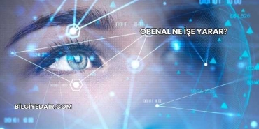 OpenAL Ne İşe Yarar?