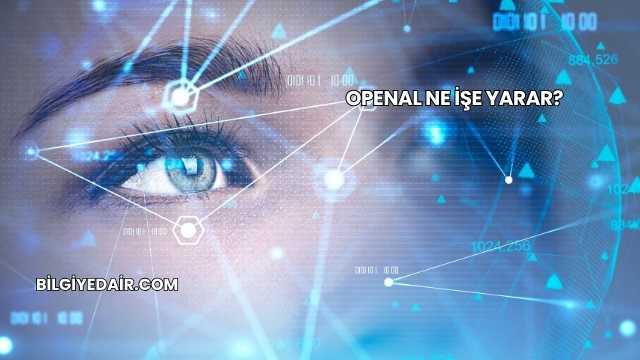 OpenAL Ne İşe Yarar?