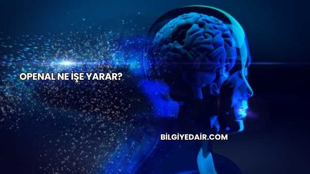 OpenAL Ne İşe Yarar?