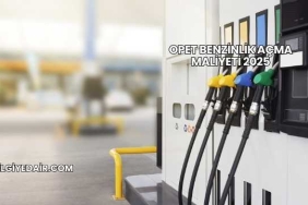 Opet Benzinlik Açma Maliyeti 2025