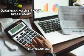 Özkaynak Maliyeti Nasıl Hesaplanır?