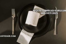 Peçete Fabrikası Kurulum Maliyeti 2025