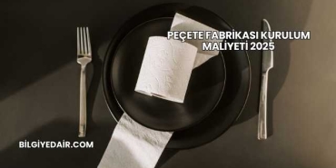 Peçete Fabrikası Kurulum Maliyeti 2025