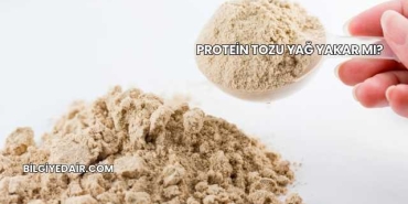 Protein Tozu Yağ Yakar mı?