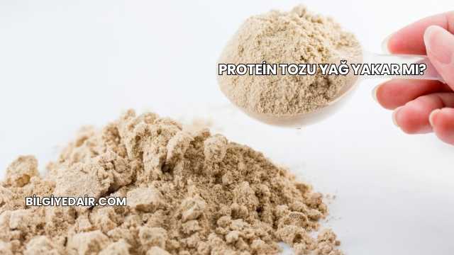 Protein Tozu Yağ Yakar mı?