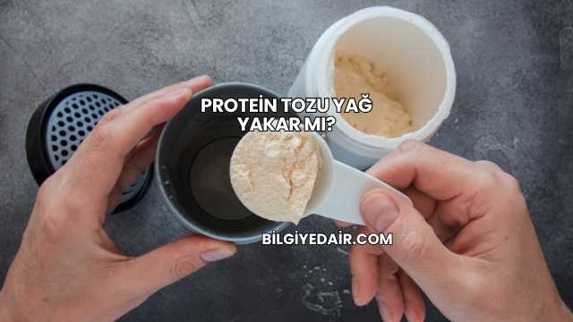 Protein Tozu Yağ Yakar mı?