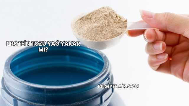 Protein Tozu Yağ Yakar mı?