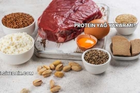 Protein Yağ Yakar mı?