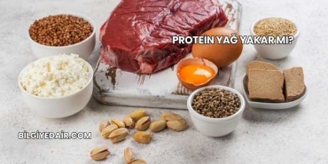Protein Yağ Yakar mı?