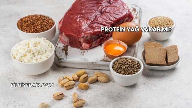 Protein Yağ Yakar mı?