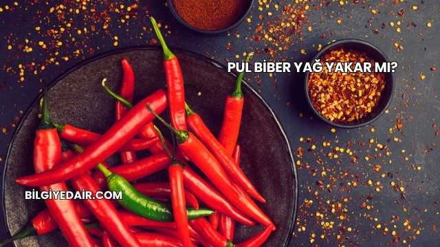 Pul Biber Yağ Yakar mı?
