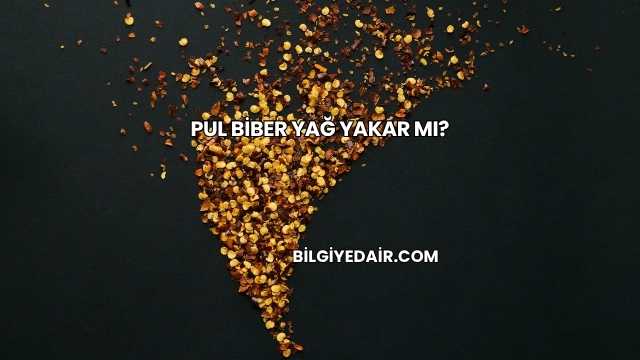 Pul Biber Yağ Yakar mı?