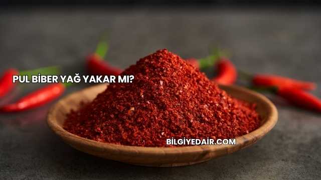 Pul Biber Yağ Yakar mı?