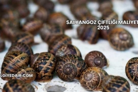 Salyangoz Çiftliği Maliyeti 2025