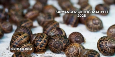 Salyangoz Çiftliği Maliyeti 2025